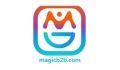 magicb2b.com